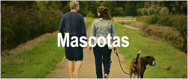 Adiestramiento Canino