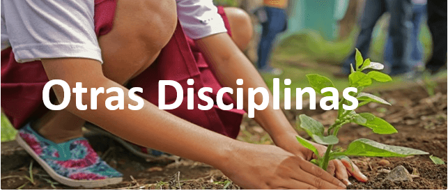 Variedad de Cursos On Line